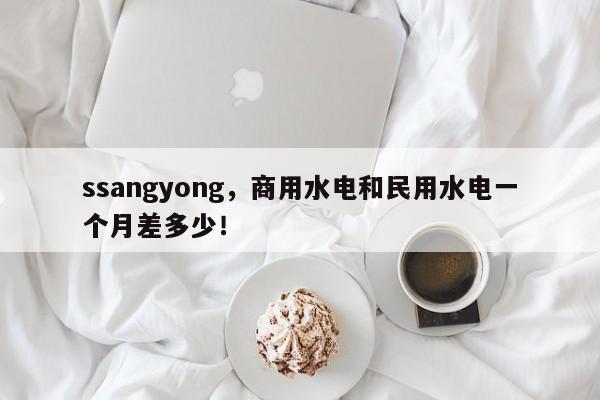 ssangyong，商用水電和民用水電一個(gè)月差多少！