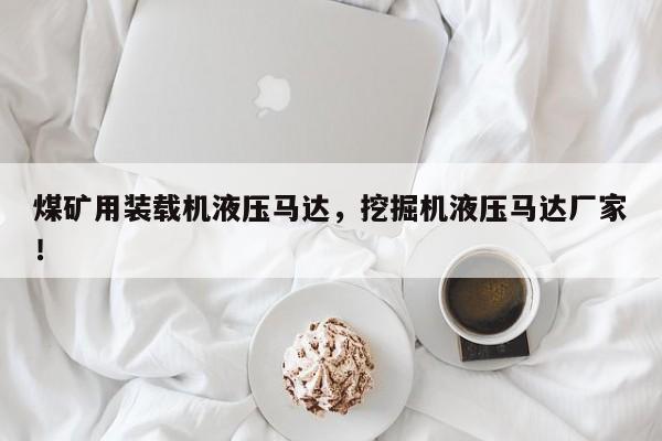 煤礦用裝載機(jī)液壓馬達(dá)，挖掘機(jī)液壓馬達(dá)廠家！