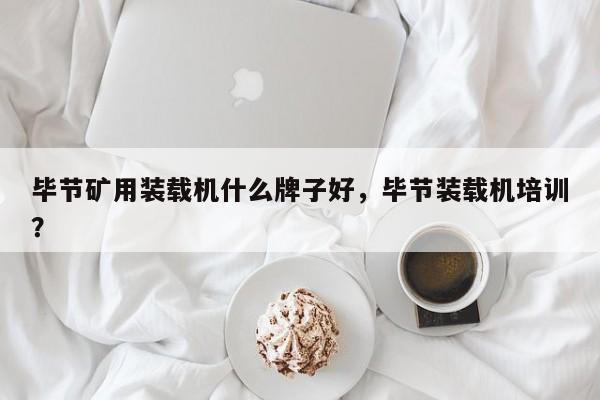 畢節(jié)礦用裝載機什么牌子好，畢節(jié)裝載機培訓？