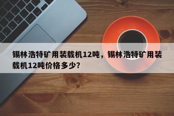 錫林浩特礦用裝載機12噸，錫林浩特礦用裝載機12噸價格多少？