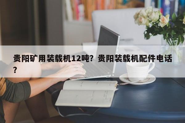 貴陽礦用裝載機(jī)12噸？貴陽裝載機(jī)配件電話？