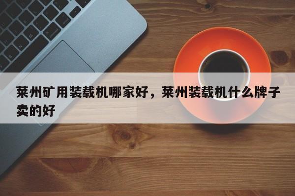 萊州礦用裝載機(jī)哪家好，萊州裝載機(jī)什么牌子賣的好