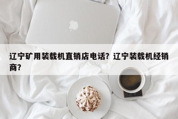 遼寧礦用裝載機(jī)直銷(xiāo)店電話？遼寧裝載機(jī)經(jīng)銷(xiāo)商？