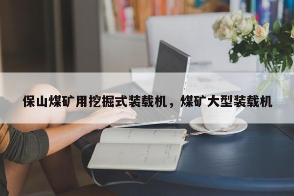 保山煤礦用挖掘式裝載機(jī)，煤礦大型裝載機(jī)