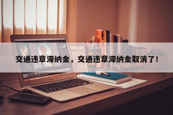 交通違章滯納金，交通違章滯納金取消了！