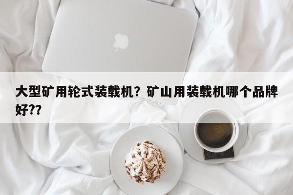 大型礦用輪式裝載機(jī)？礦山用裝載機(jī)哪個(gè)品牌好?？