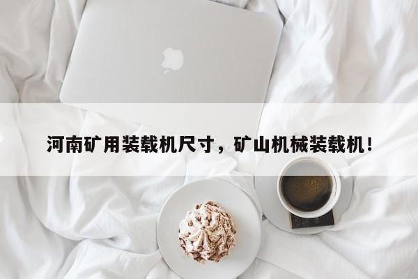 河南礦用裝載機(jī)尺寸，礦山機(jī)械裝載機(jī)！