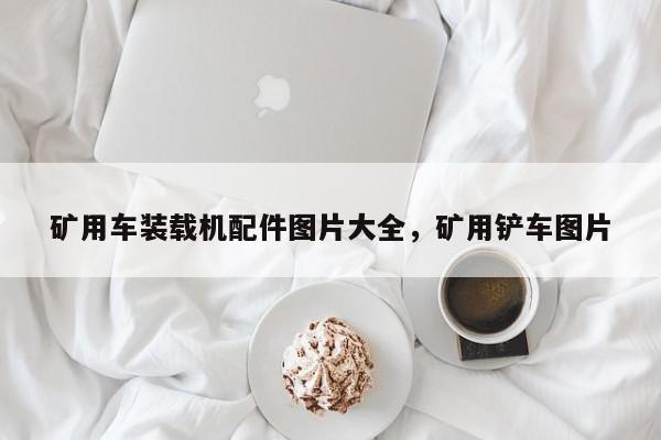 礦用車裝載機配件圖片大全，礦用鏟車圖片