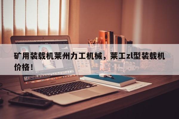 礦用裝載機萊州力工機械，萊工zl型裝載機價格！