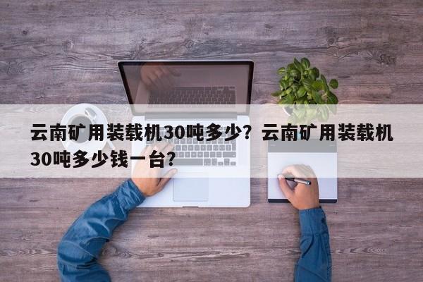云南礦用裝載機(jī)30噸多少？云南礦用裝載機(jī)30噸多少錢一臺？