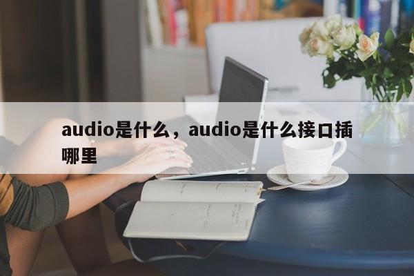 audio是什么，audio是什么接口插哪里
