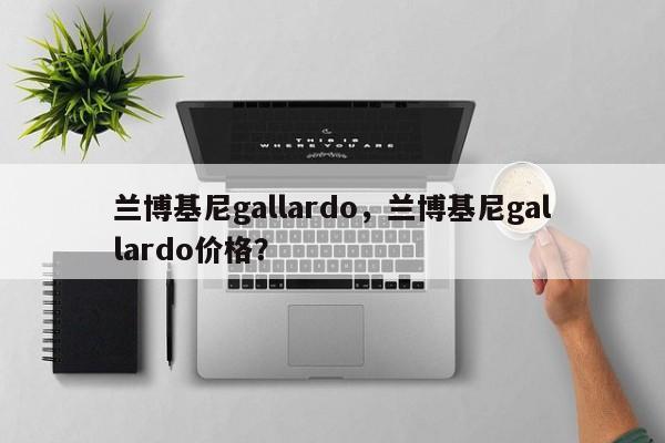 蘭博基尼gallardo，蘭博基尼gallardo價格？