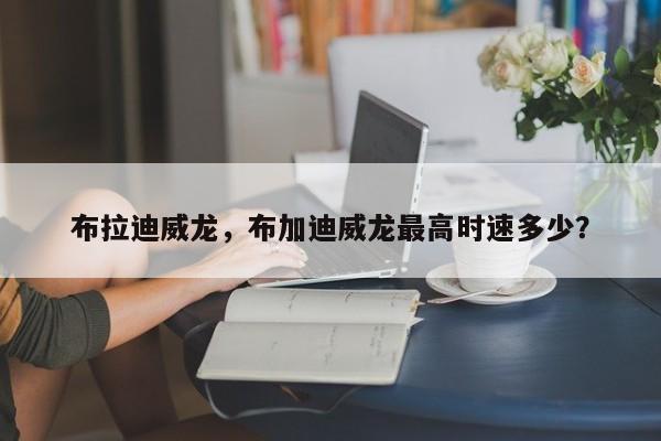 布拉迪威龍，布加迪威龍最高時(shí)速多少？