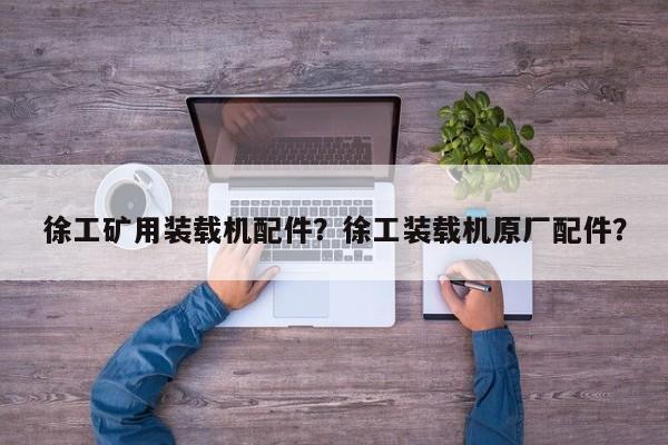 徐工礦用裝載機配件？徐工裝載機原廠配件？