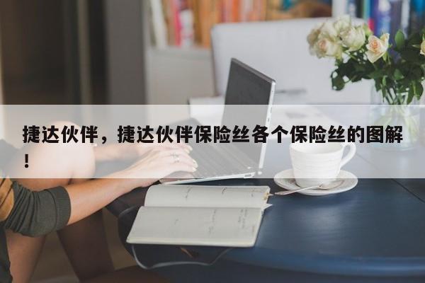 捷達(dá)伙伴，捷達(dá)伙伴保險(xiǎn)絲各個(gè)保險(xiǎn)絲的圖解！