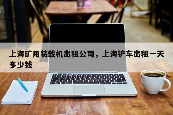 上海礦用裝載機(jī)出租公司，上海鏟車出租一天多少錢
