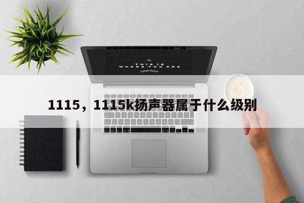1115，1115k揚聲器屬于什么級別