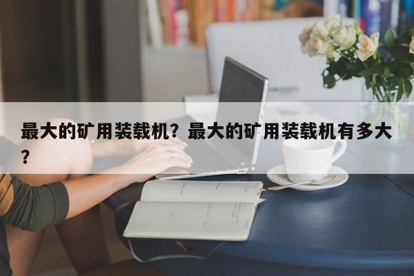 最大的礦用裝載機？最大的礦用裝載機有多大？