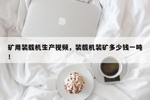 礦用裝載機生產(chǎn)視頻，裝載機裝礦多少錢一噸！
